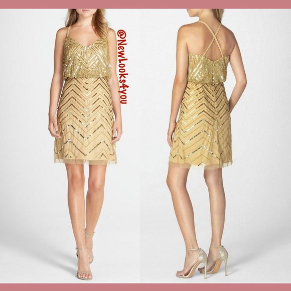 NWT Adrianna Papell Embellished‎ Mesh Blouson Dress - Picture 5 of 12